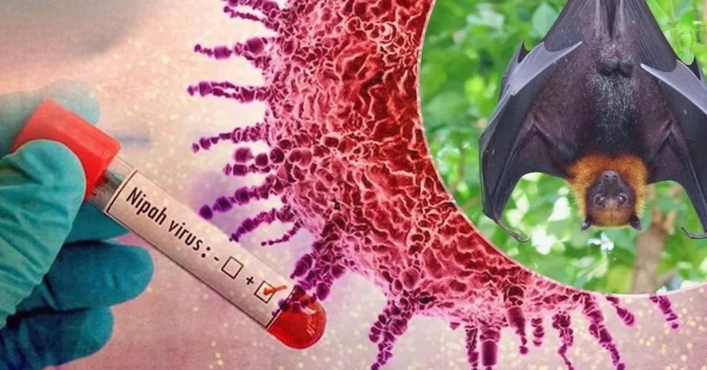208 Pounds at 35? That’s Now Average in the US - Nipah Virus Outbreak in India Puts Asia on High Alert Over Deadly Spread
